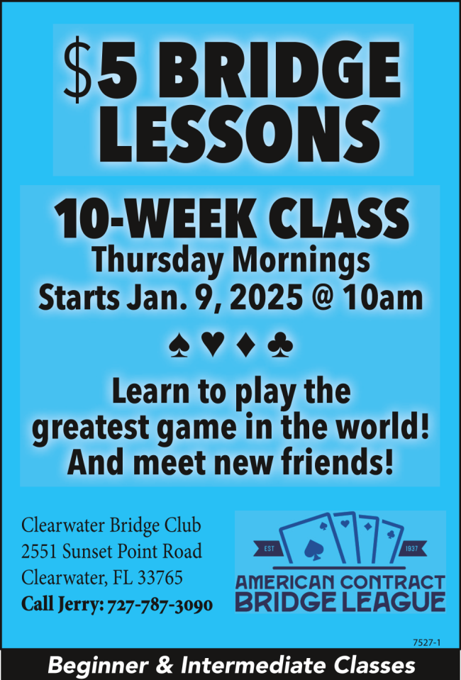 January Bridge Lessons