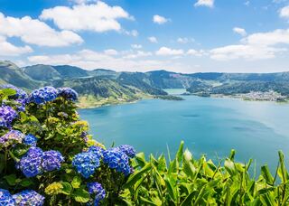 Play Bridge & Explore The Azores