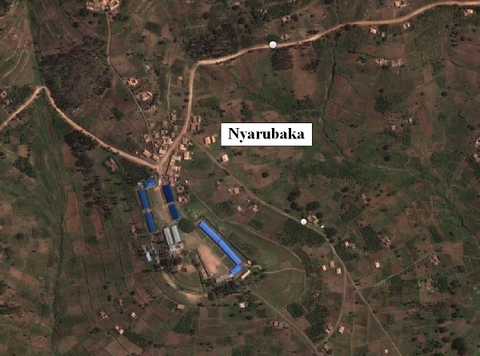 Detail of Nyarubaka