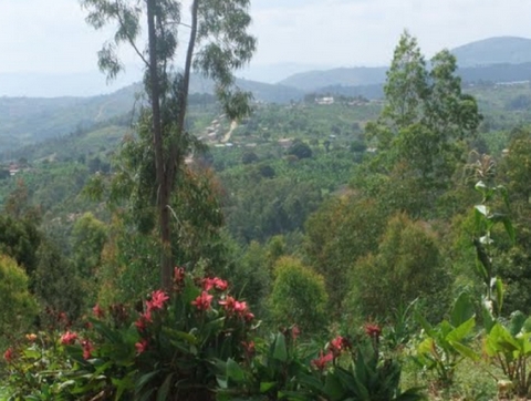 View of Nyarubaka 2