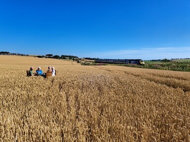 FOB Photo Competition Runners Up